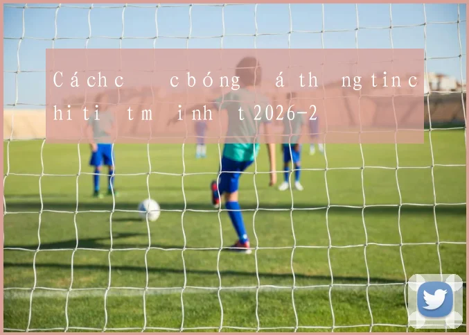 Cách cược bóng đá thông tin chi tiết mới nhất 2026