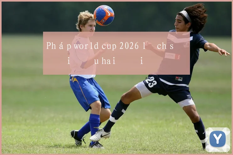 Pháp world cup 2026 lịch sử đối đầu hai đội